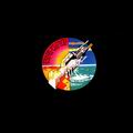 PINK FLOYD - Wish You Were Here (LP, 180 g)