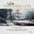 Various Artists - Winter Wonderland: 14 Christmastime Classics (LP, 180 g, White Vinyl)